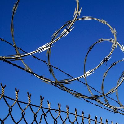 El alambre de la maquinilla de afeitar cerca las cercas de alambre acordeón de la maquinilla de afeitar del cercado de alambre de la maquinilla de afeitar de la malla de la cerca del alambre de púas del alambre de pollo del alambre de púas de la maquinilla de afeitar