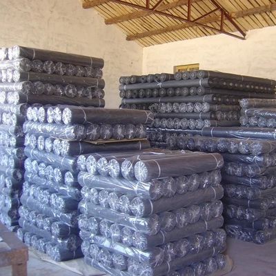 Paño de malla de alambre del negro del hierro del paquete de la pantalla de la malla de alambre de acero llana de alta resistencia/del paño de alambre negro/de la red de acero suave/del extrusor